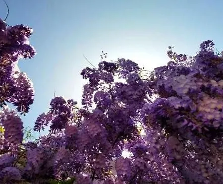 Вілла Carmenes Коніль-де-ла-Фронтера