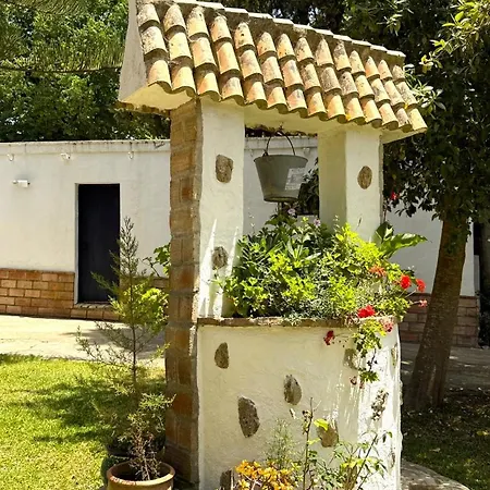 Carmenes