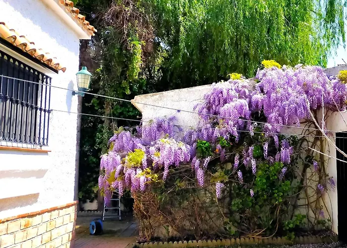 Carmenes Кониль-де-ла-Фронтера